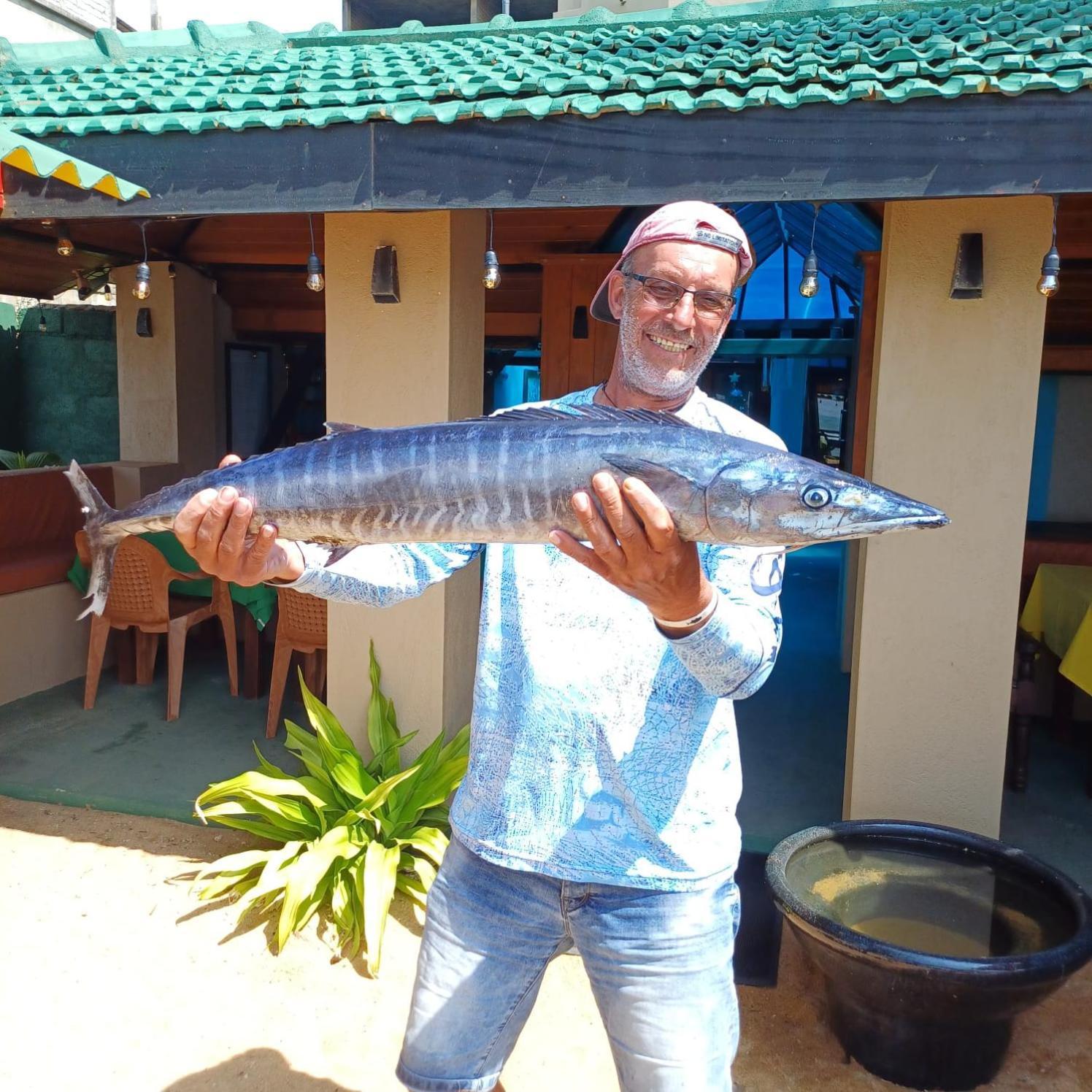 Hotel Coconut Bar Sea Lodge 贝鲁沃勒 外观 照片